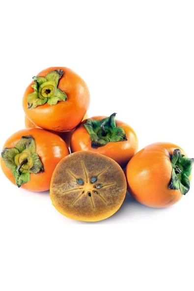 TAŞKAR PEYZAJ Cennet Hurması - Trabzon Hurması Fidanı ( Aşılı \ 2 Yaş \ Tüplü 70-100 Cm ) ürün görseli