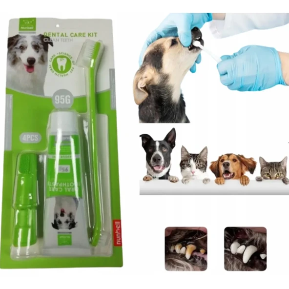 Mucit Home  Kedi Ve Köpek Diş Fırçası Ve Diş Macunu Seti Dental Kit - 5