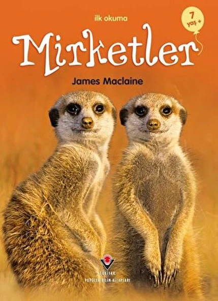 İlk Okuma - Mirketler ürün görseli