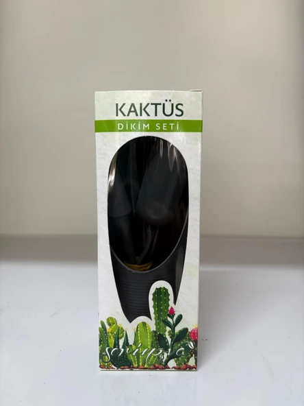 Kaktüs dikim seti ürün görseli