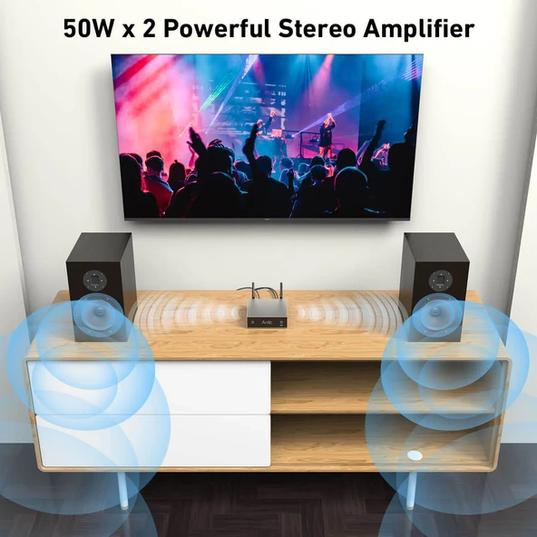 Arylic A50+ 50W X2 Stream Amfi - 4