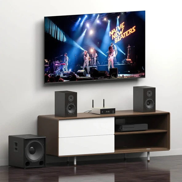 Arylic A50+ 50W X2 Stream Amfi - 9