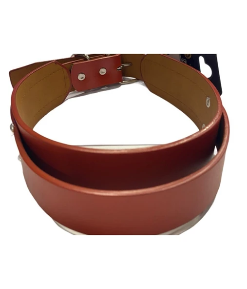 Doglife Turuncu Deri Köpek Boyun Tasması 4 cm x 49-57 cm - 4