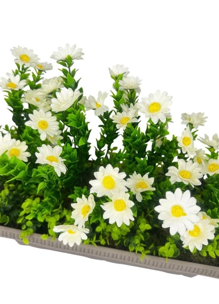 Nettenevime Yapay Çiçek Papatya Mokka Küpeşte Askılı Saksıda Balkon Çiçeği - Resim 4