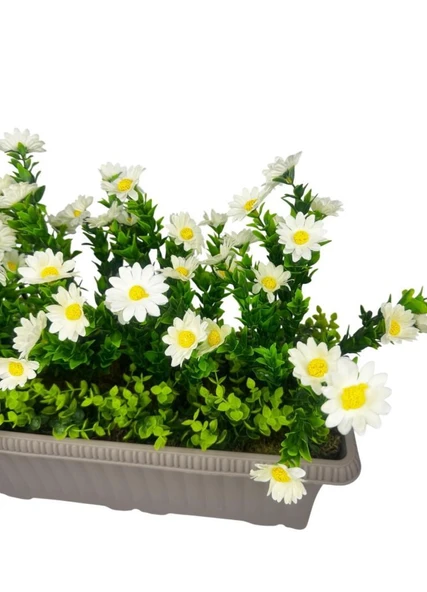 Nettenevime Yapay Çiçek Papatya Mokka Küpeşte Askılı Saksıda Balkon Çiçeği - Resim 3