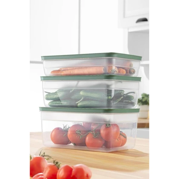 Tupper Model - Vakumlu - Mikrodalga Buzluk Saklama Kabı 2,5LT - 2