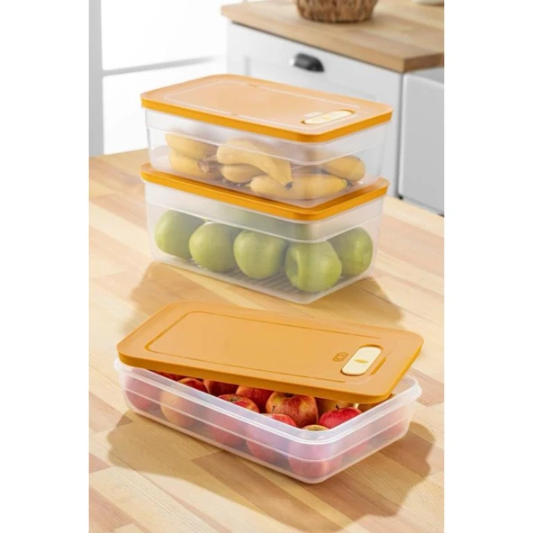 Tupper Model - Vakumlu - Mikrodalga Buzluk Saklama Kabı 3,8LT - 6