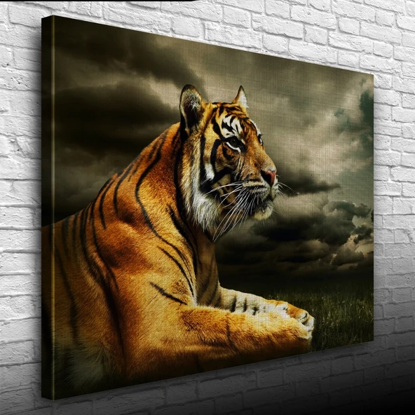 Çimenlerde Uzanan Kaplan Kanvas Tablo 50 x 70 - 3