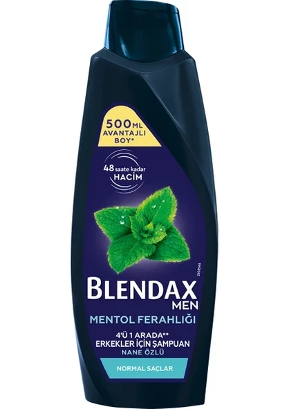 Blendax Erkekler İçin Mentol Ferahlığı Nane Özlü Şampuan 500 Ml ürün görseli 1