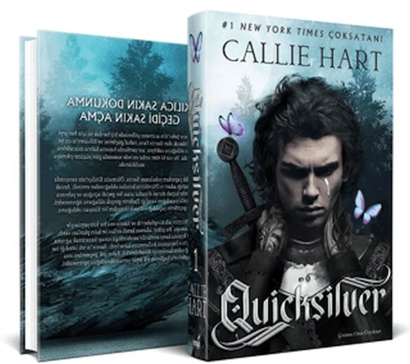 Ouicksilver (Ciltli) ürün görseli