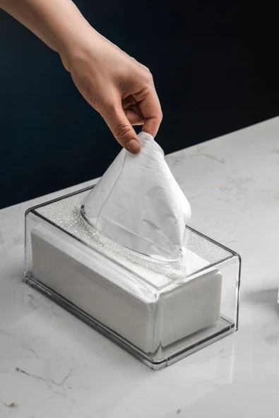 Buclee Üstü Desenli Clear Peçete Organizeri Z Peçetelik - Resim 5