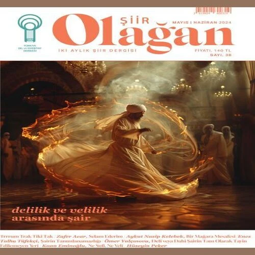 Olağan Şiir (38. Sayı) ürün görseli