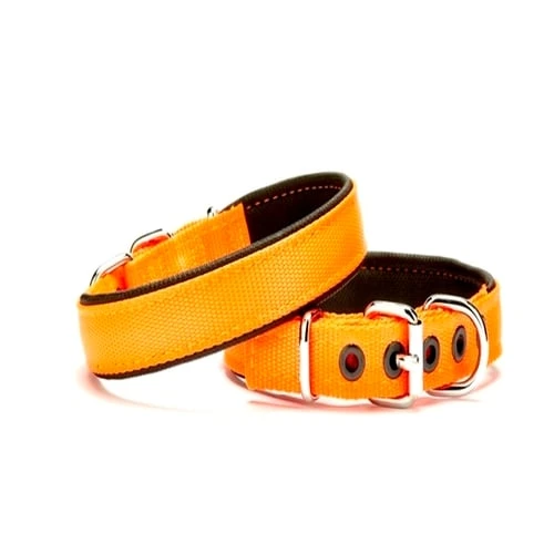 Dokuma Softlu Köpek Boyun Tasması 2 cm x 45 cm Tcu - 1