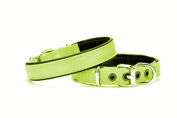 Yumuşak Doku Köpek Boyun Tasması 2/45 cm Yeşil - 1