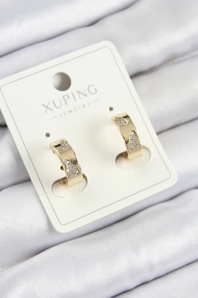 Xuping Zirkon Taşlı Desenli Halka Model Gold Renk Kadın Küpe - EBJ250705W36325 ürün görseli