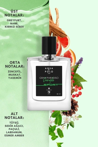 AQUA Dİ POLO GRAN PARADİSO JUNGLE SPORT 50ML - 5