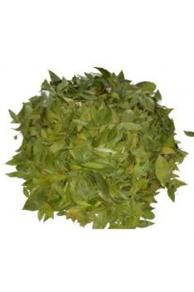 Sidr Yaprağı (Zizyphus Spina),Arabistan Kirazı Yaprağı, 1 Kg, Derya Eren - Resim 3