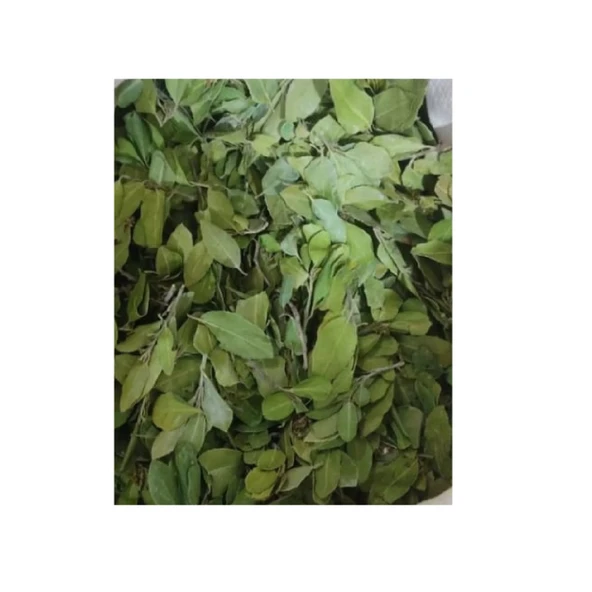 Sidr Yaprağı (Zizyphus Spina),Arabistan Kirazı Yaprağı, 1 Kg, Derya Eren - Resim 2