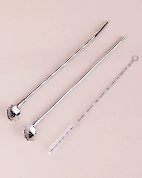 Paslanmaz Metal 2 li Kaşıklı Pipet Fırça Seti - 4