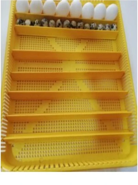 KARAHİSAR KULUÇKA Gelişim Ve Çıkım Tablası