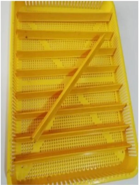 KARAHİSAR KULUÇKA Gelişim Ve Çıkım Tablası - 3