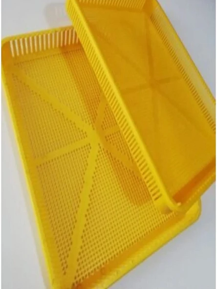 KARAHİSAR KULUÇKA Gelişim Ve Çıkım Tablası - 4