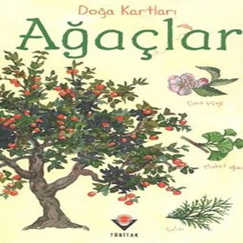 Doğa Kartları - Ağaçlar ürün görseli