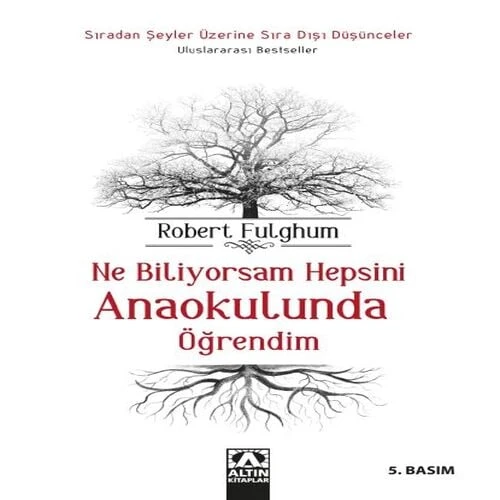 Ne Biliyorsam Hepsini Anaokulunda Öğrendim ürün görseli