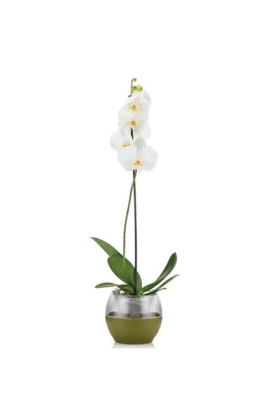 Buule Orkide Saksısı Beyaz 2 Litre 17cm Drenajlı Yuvarlak Kristal Plastik Tasarım Saksı - 1