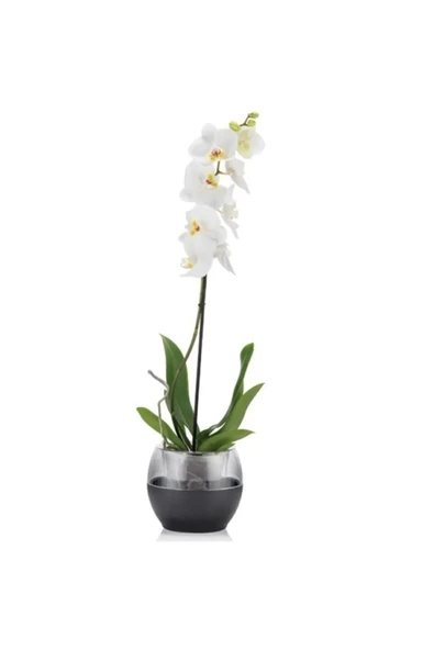 Buule Orkide Saksısı Beyaz 2 Litre 17cm Drenajlı Yuvarlak Kristal Plastik Tasarım Saksı - 3