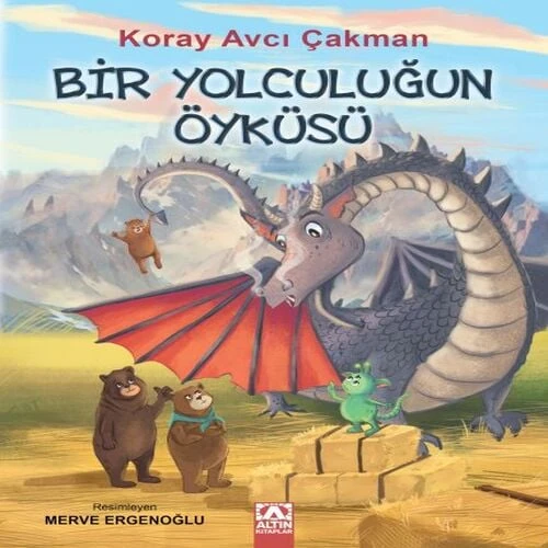 Bir Yolculuğun Öyküsü ürün görseli