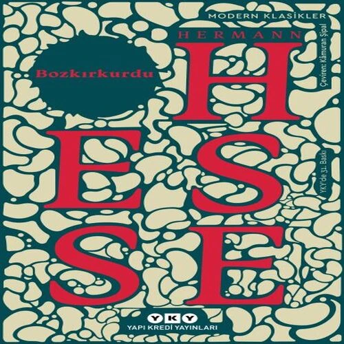 Bozkırkurdu - Modern Klasikler ürün görseli