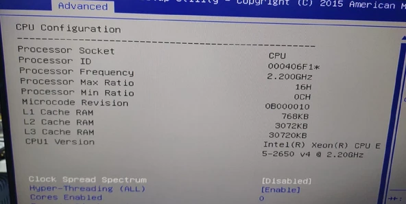 Supermicro 116-7 İntel XEON E5-2650 V4 64 GB RAM Server - Teshir - 4