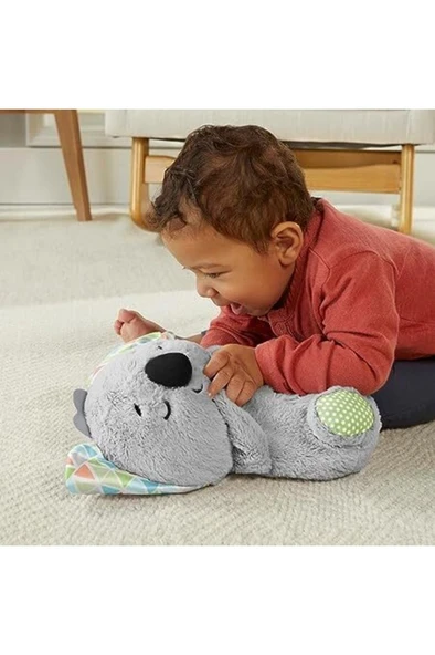 FISHER PRICE Grt59 Fp Uyku Arkadaşı Koala - 2