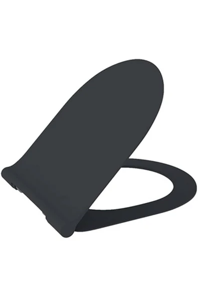 Pure Slim Klozet Kapağı Yavaş Kapanır Mat Antrasit A0336-020 ürün görseli 1