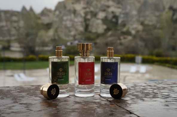 BU3 Odunsu Edp Erkek Parfüm 110 ml - 4