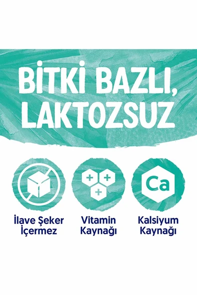 Alpro Hindistan Cevizi Sütü 1 L Vegan Laktozsuz Bitkisel Bazlı - 3