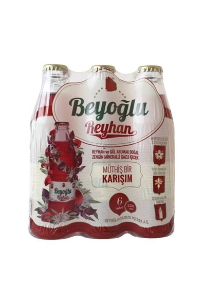 Beyoğlu Gazoz Reyhan 6x250 ml