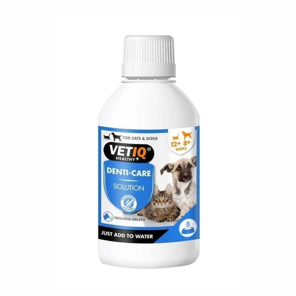 Vet IQ 2in1 Denti-Care Kedi Köpek Ağız ve Diş Bakım Solüsyonu 250 Ml