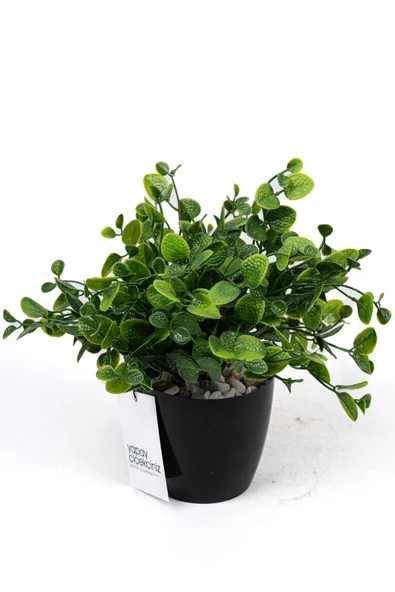 YAPAY ÇİÇEKÇİNİZ Taş Detaylı Siyah Saksıda Yoğun Yapraklı Yapay Dekor Yeşillik Demeti - Resim 5