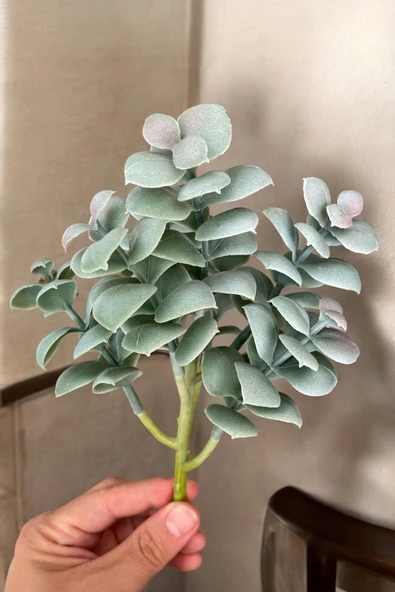 YAPAY ÇİÇEKÇİNİZ Gerçek Dokulu Yapay Kaktüs Sukulent ürün görseli 1