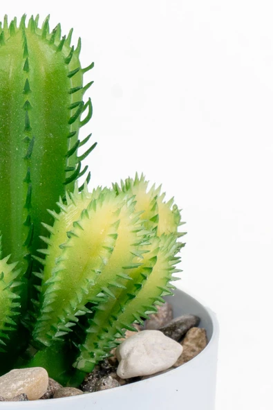 YAPAY ÇİÇEKÇİNİZ Beyaz Renkli Saksıda Yapay Kaktüs Sukulent - Resim 3