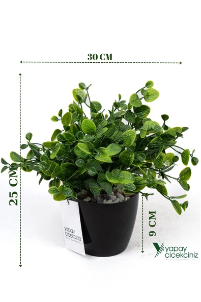 YAPAY ÇİÇEKÇİNİZ Taş Detaylı Siyah Saksıda Yoğun Yapraklı Yapay Dekor Yeşillik Demeti ürün görseli
