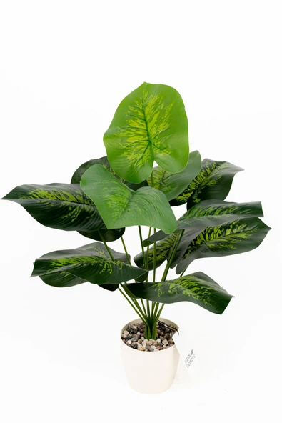 YAPAY ÇİÇEKÇİNİZ Taş Detaylı Beyaz Saksıda 12 Yapraklı 50 cm Yapay Salon Çiçeği - 5
