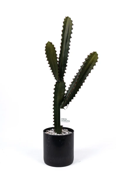 YAPAY ÇİÇEKÇİNİZ Taş Kaplı Siyah Saksısında Yapay Texas Kaktüs - Resim 2