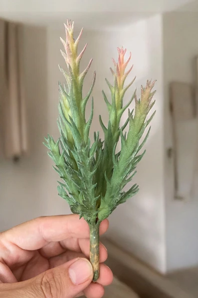 YAPAY ÇİÇEKÇİNİZ Gerçek Dokulu Yapay Kaktüs Sukulent ürün görseli 1