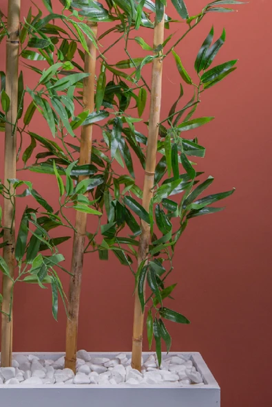 140 Cm Bambu Seperatör - Resim 8