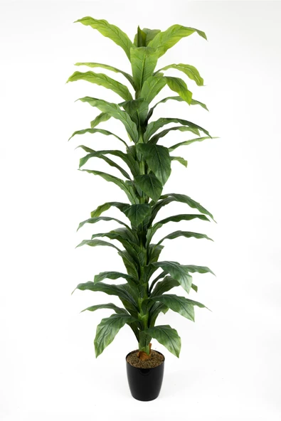 YAPAY ÇİÇEKÇİNİZ Siyah Saksıda Çim Detaylı Büyük Yapraklı Yapay Difenbahya Ağacı 180 Cm ürün görseli 1