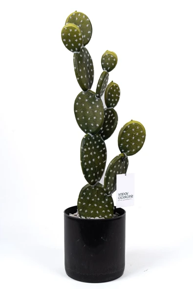 YAPAY ÇİÇEKÇİNİZ Taş Kaplı Siyah Saksısında Yapay Texas Kaktüs - Resim 4