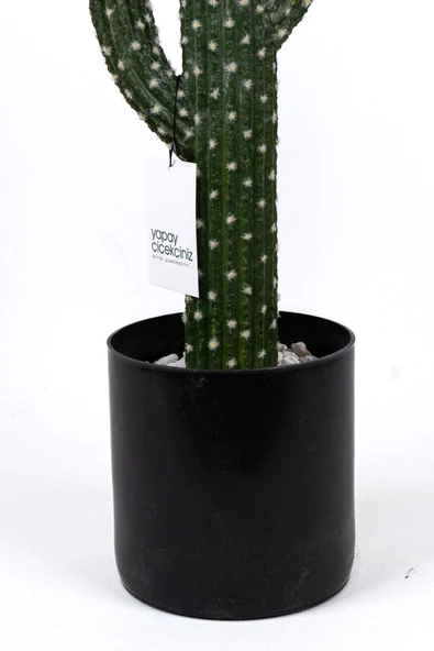 YAPAY ÇİÇEKÇİNİZ Taş Kaplı Siyah Saksısında Yapay Texas Kaktüs - Resim 4